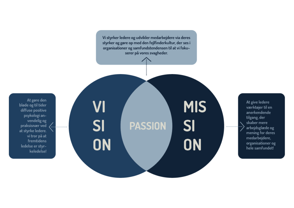 Vision, mission og passion - Styrkeleder