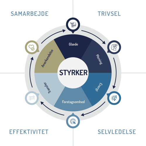 Modellen for styrkeledelse